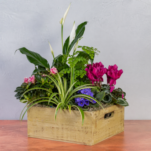 Beekeeper Box
