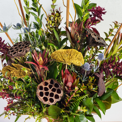 Designers Choice Collection: Woodsy and Wild