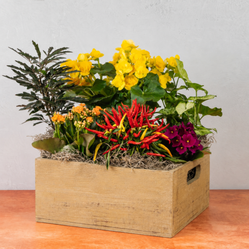 Fall Beekeeper Box