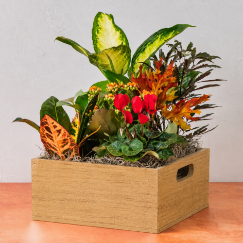 Fall Beekeeper Box - Image 3