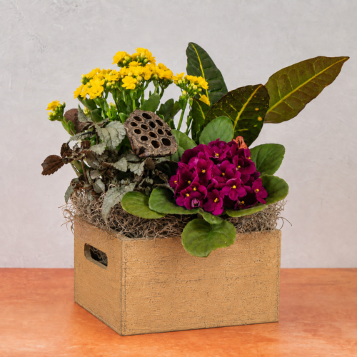 Alternative view of Fall Beekeeper Box