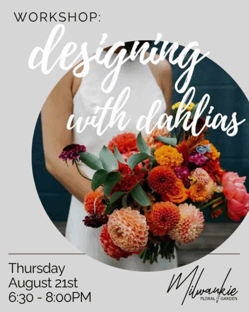 Workshop: Designing with Dahlias