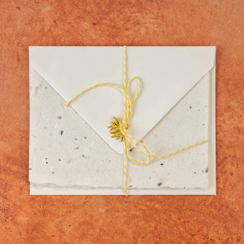 Twinflower Native Seed Paper Greeting Card and Seed Bombs - Image 2