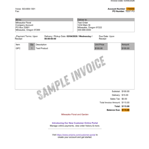 Alternative view of Payment on Account eCheck