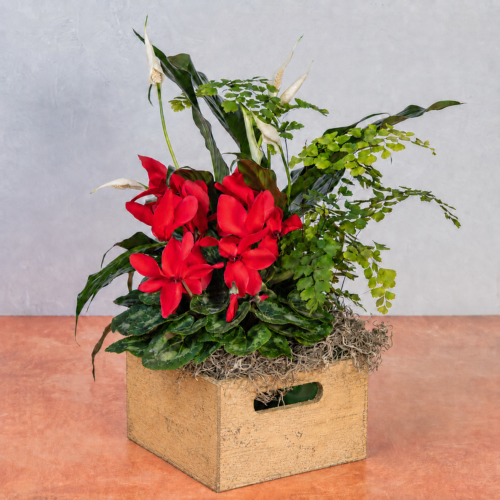 Alternative view of Beekeeper Box